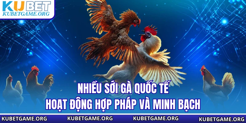 Nhiều sới gà quốc tế hoạt động hợp pháp và minh bạch